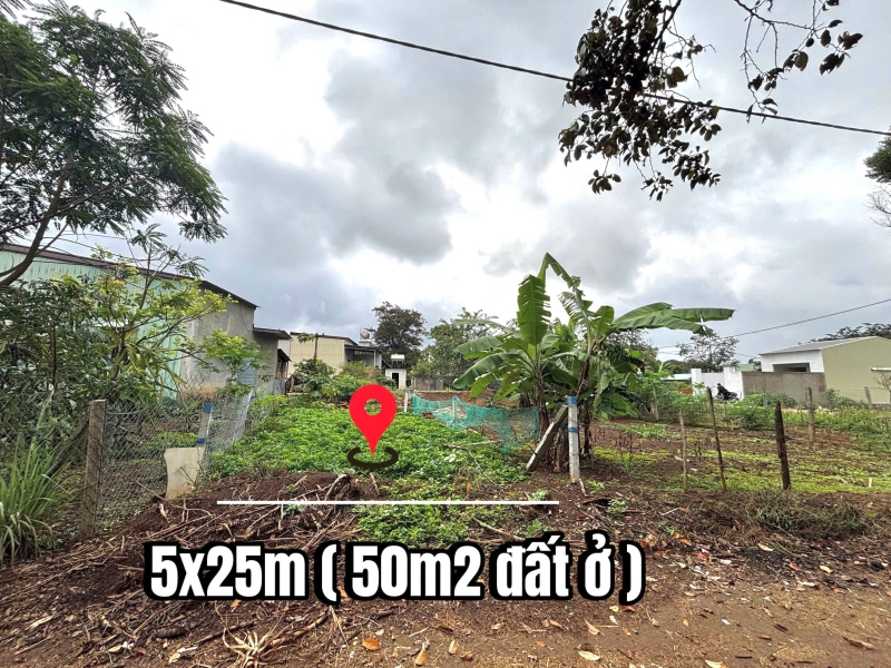 Bán đất hẻm 250 Tôn Đức Thắng, xã Biển Hồ, Gia Lai